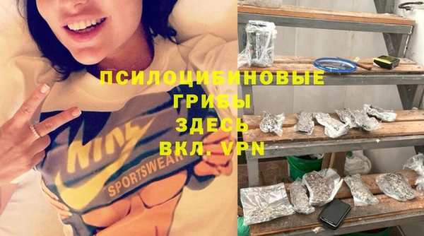 твердый Армянск
